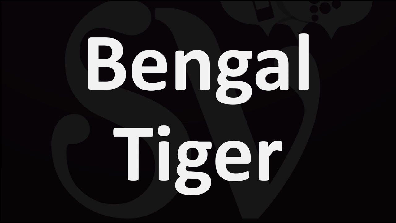 How to Pronounce Bengal Tiger - YouTube
