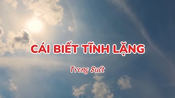 Bài hát: CÁI BIẾT TĨNH LẶNG | Trong Suốt