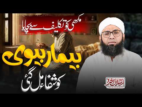 Makhi Ko Takleef Se Bachaya, Shifa Mil Gayi | Maulana Arsalan | مکھی کو تکلیف سے بچایا، شفا مل گئی