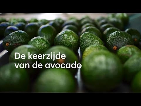 Video: Avocado En Olijvenspread