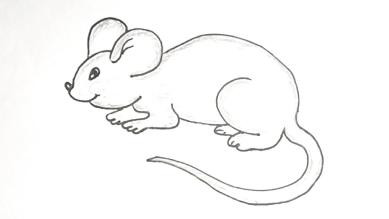 How to Draw a Cartoon Mouse - YouTube