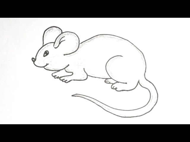 43,697 Rat Drawing Images, Stock Photos, 3D objects, & Vectors |  Shutterstock
