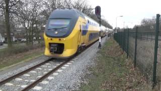 Virm 8664 Komt Door Geldrop