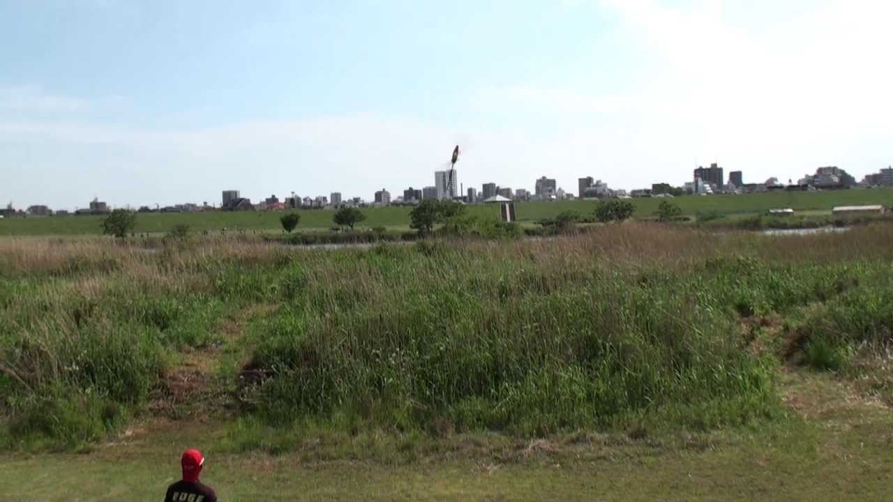 T-REX700E CANOPIE CRASH PILOT:Tooru417