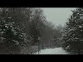 ❄️ Calm Snowy Woods – Peaceful Winter Atmosphere for Sleep, Study &amp; Meditation 🌨️🌲
