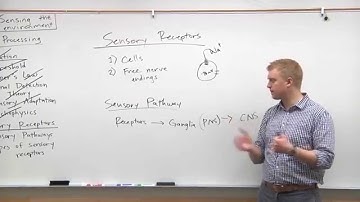 2015 MCAT Psychology (8) - Sensory Receptors (Sensory Pathways)