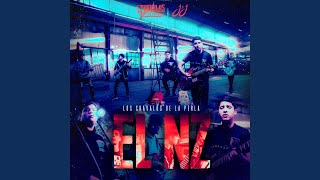 Video thumbnail of "Los Chavalos De La Perla - El NZ"