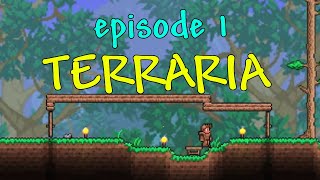 Wait...This Isnt Minecraft.! Its Terraria!