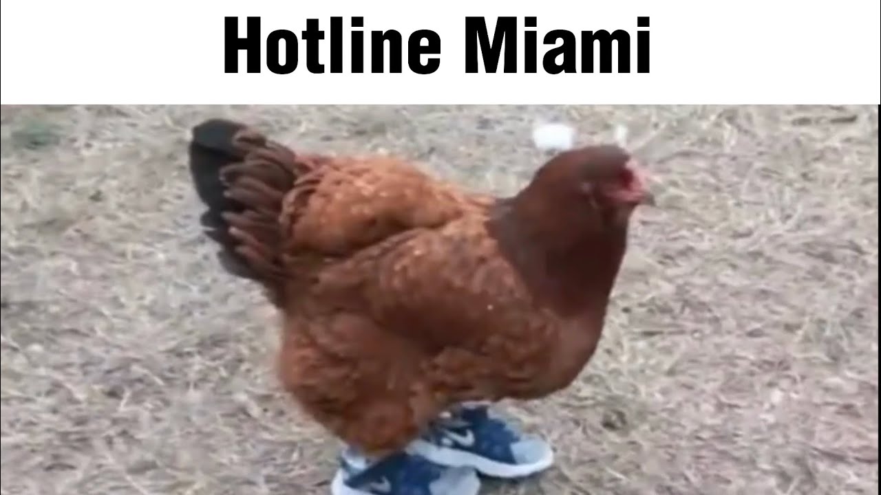 Listening to Hotline Miami soundtrack be like