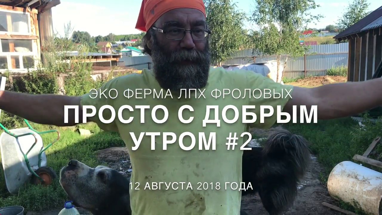 Надо ли делать каско