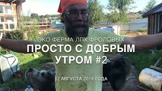 Доброе утро! Надо ли мыть вымя у коз во время дойки? Доброе утро! Надо ли мыть вымя у коз во время дойки?