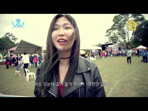 2017 한국의 날 축제 스케치 영상