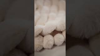 Step into a world of unparalleled luxury with our exquisite fur fabrics.