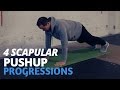 4 Scapular Pushup Progressions