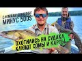 Ловля судака на Зеленом Море. Как увидеть судака в эхолоте?!