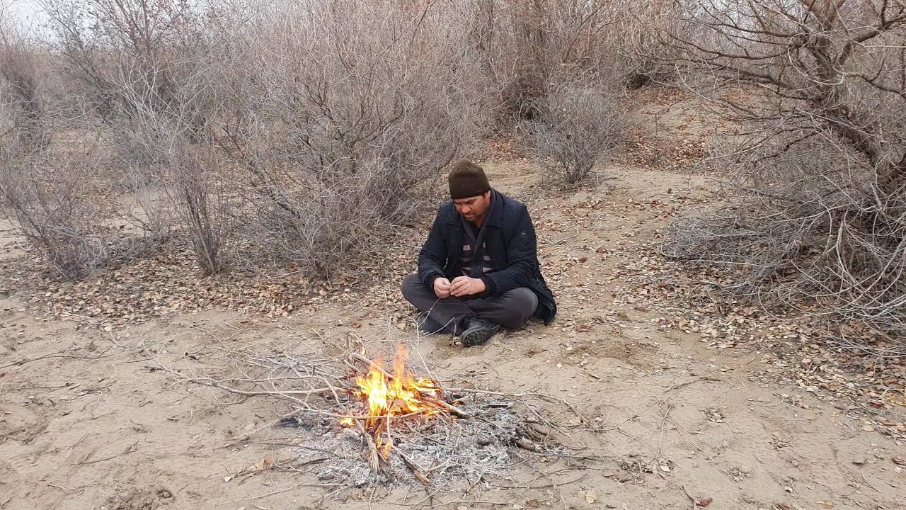 Cho'ldagi yovvoyi tabiat qo'ynidaman !!!