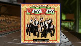 Video thumbnail of "Banda Wane Wane - El Caderazo"