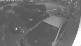 Las Vegas thief!