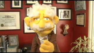 Website Design Explained by Hans Von Puppet