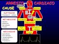 Le 3E dell'arresto cardio-respiratorio: ECG EGA ECO