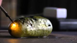 Flash Science Elecric Pickle