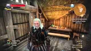 The Witcher 3 Witcher Contract The Phantom Of Eldberg