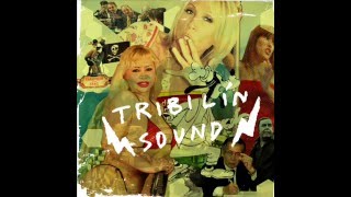 Tribilin Sound - Cumbia tu madre chords