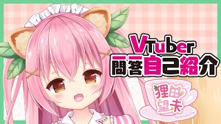 「【自己紹介】Vtuber一問一答自己紹介【狸田望未​/新人Vtuber】」のサムネイル