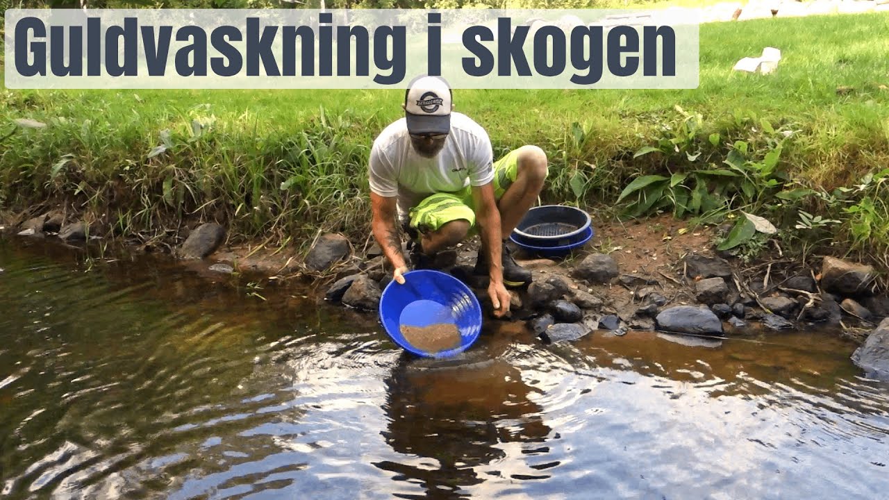 Gammelbäckens Hemlighet | Guldvaskning i Sverige