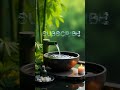 relaxing spa music healing music #1 #relaxationmusic #pianorelaxing #relaxing #relax #relaxingmusic