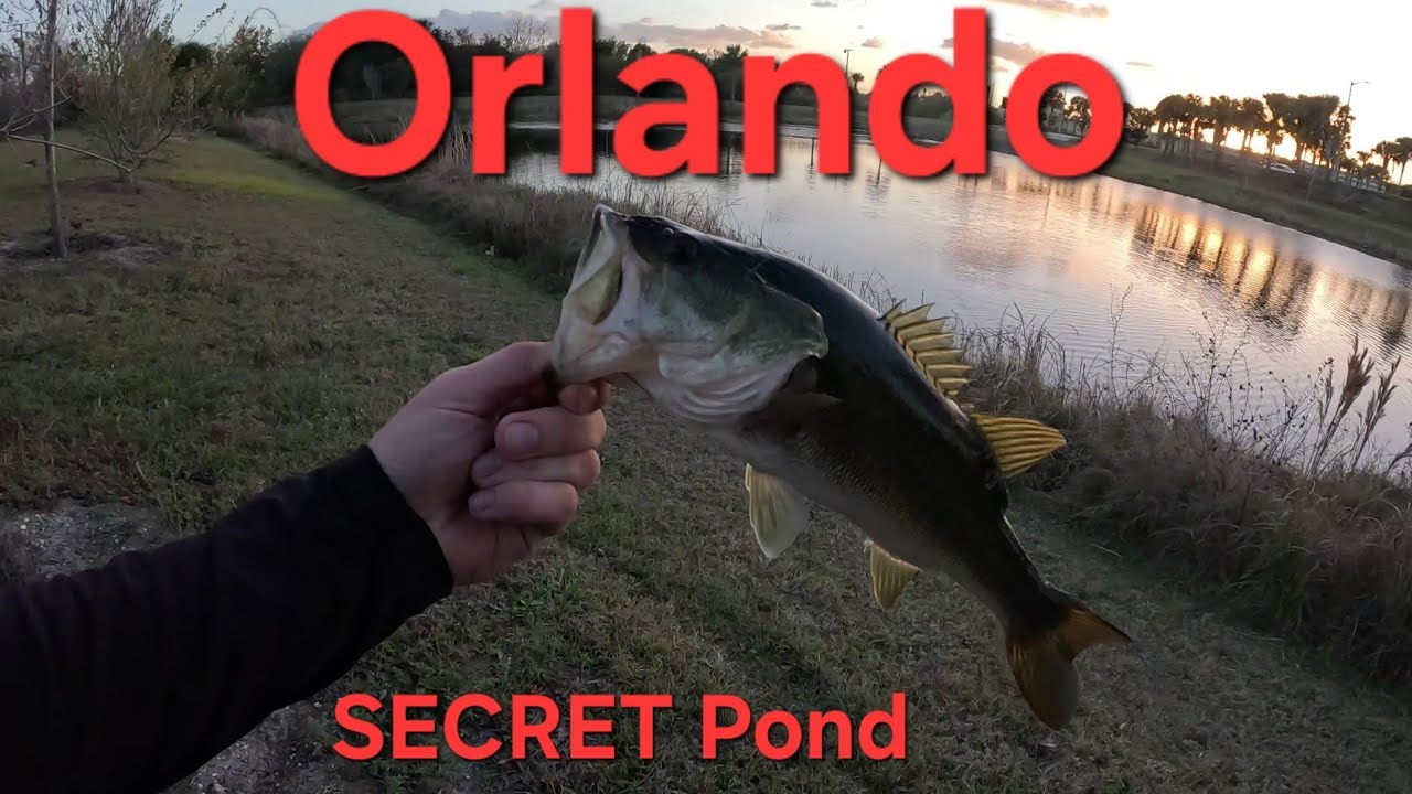 Fishing Every Pond in Orlando Ep.5 – Hidden Bass Spot next to Bahama Breeze!
