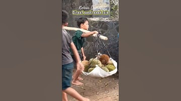 Aktivitas memikul durian di kampung adat baduy luar #shorts #durian #kebundurian