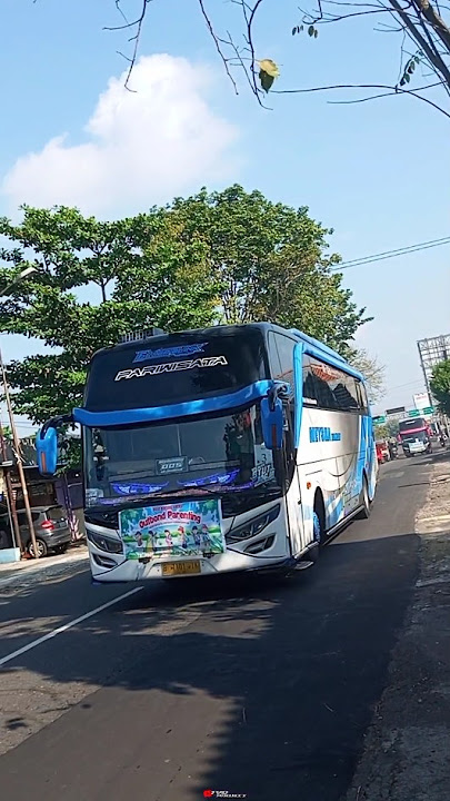 Basuri Ulang Tahun Jamrud Kanee 🤩🤙|Bus Meysha Holiday💙ELJEMBLINK🤍#basuri#busbasuri#viral#tyoproject