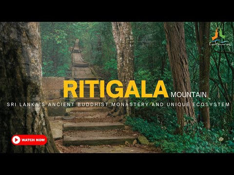 Ritigala | Sri Lanka’s Ancient Buddhist Monastery and Unique Ecosystem