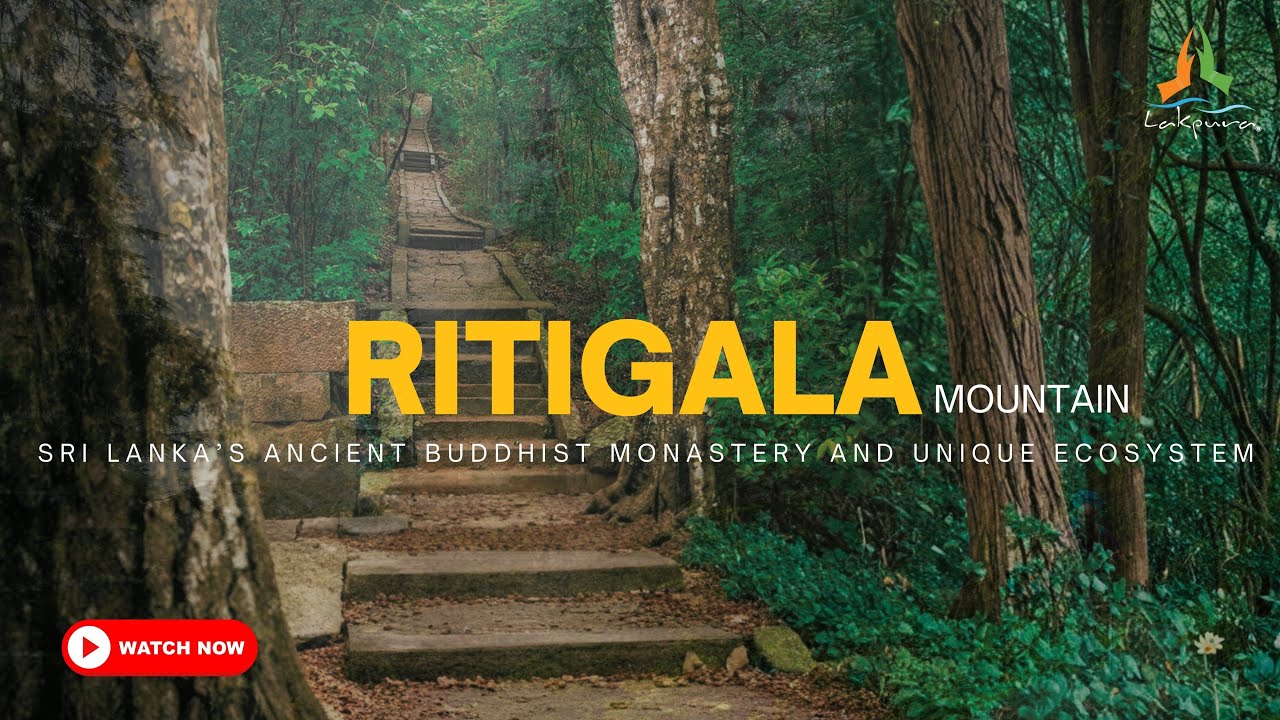 Ritigala | Sri Lanka’s Ancient Buddhist Monastery and Unique Ecosystem