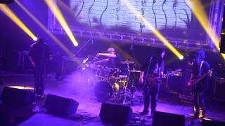 Rough Man's Snivel - Birds from Lang