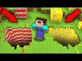 HOW TO CHOOSE LUCKY BLOCK HOLE VS DYNAMITE HOLE IN MINECRAFT ? 100% TROLLING TRAP !