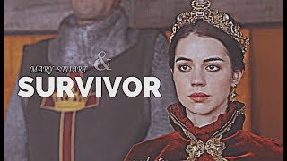 mary stuart || survivor