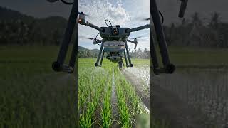 drone spray machine in paddy |GreenAgrix