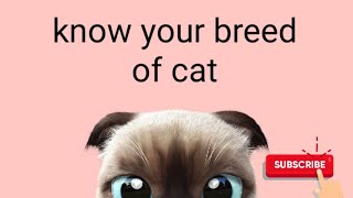 Top breeds of cats# famous breeds by Maaz Ahmad 54 views 3 years ago 3 minutes, 55 seconds
