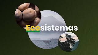 FUNDAECO