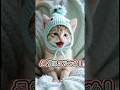 かわいい子猫が歌ってみた。♫愛スクリ〜ム！#歌ってみた #歌う子猫 #かわいい子猫 #好きな子猫 #shorts #cat#猫 #ai猫 #aicat #子猫 #kitten