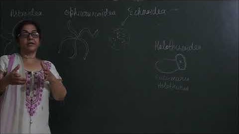 Bio-XI-4-11 Phylum echinodermata general characters,   By Sunanda Ahuja,  Pradeep Kshetrapal channel