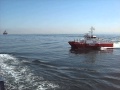 COLLISION WITH PILOT BOAT