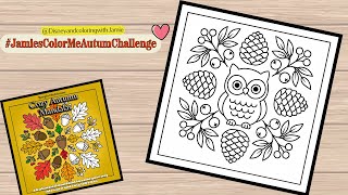 Completed Owl Coloring Page JamiesTrueColors