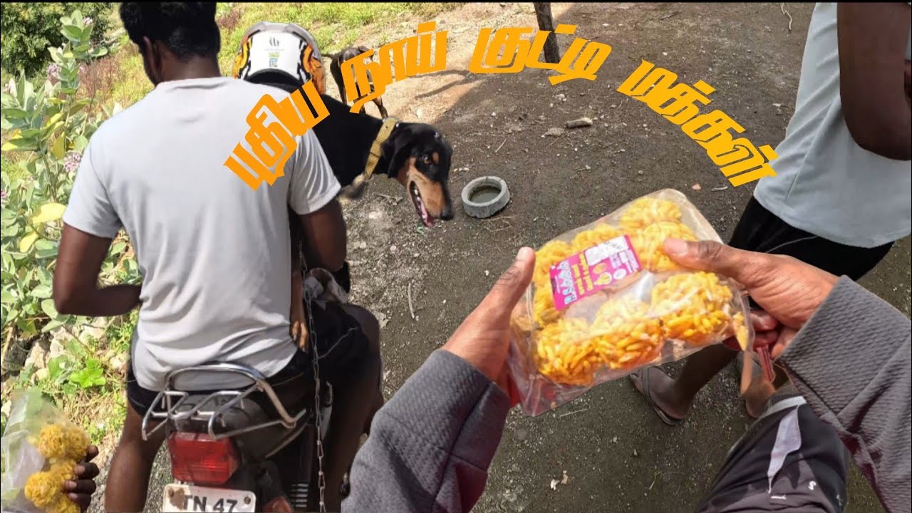 Dog adpot panna poren makkale🐕🐕‍🦺🦮