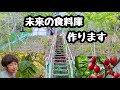 雑木林に“未来の食料”を植えます