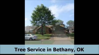 Tree Service Bethany OK Tree Solutions