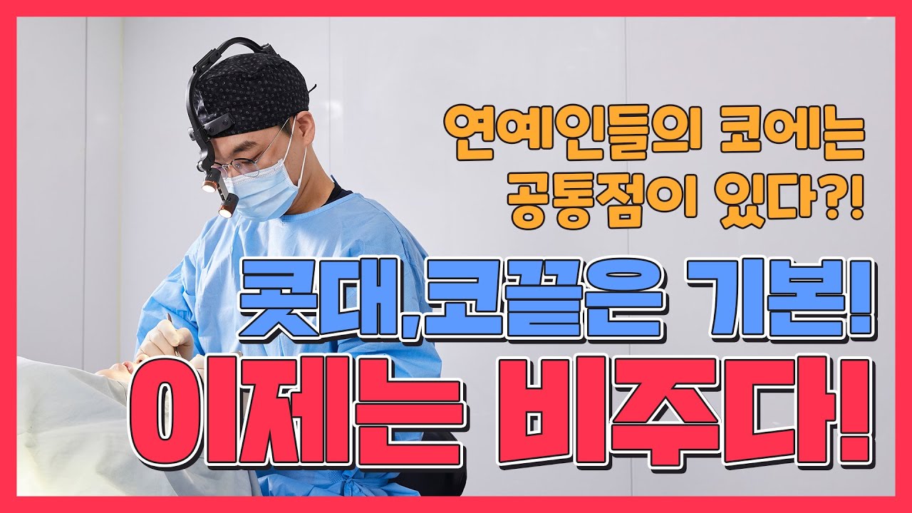 연예인들의 이쁜 코, 공통점은 바로 비주!