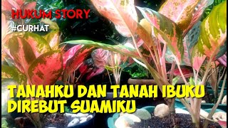 KISAH TANAHKU DAN TANAH IBUKU DIREBUT SUAMIKU #Curhat #ilmuhukum #belajarhukum